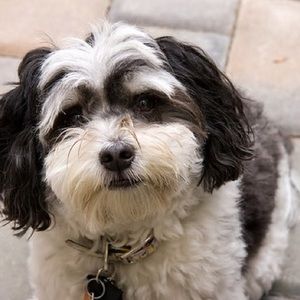 Meet your Posher, Celina